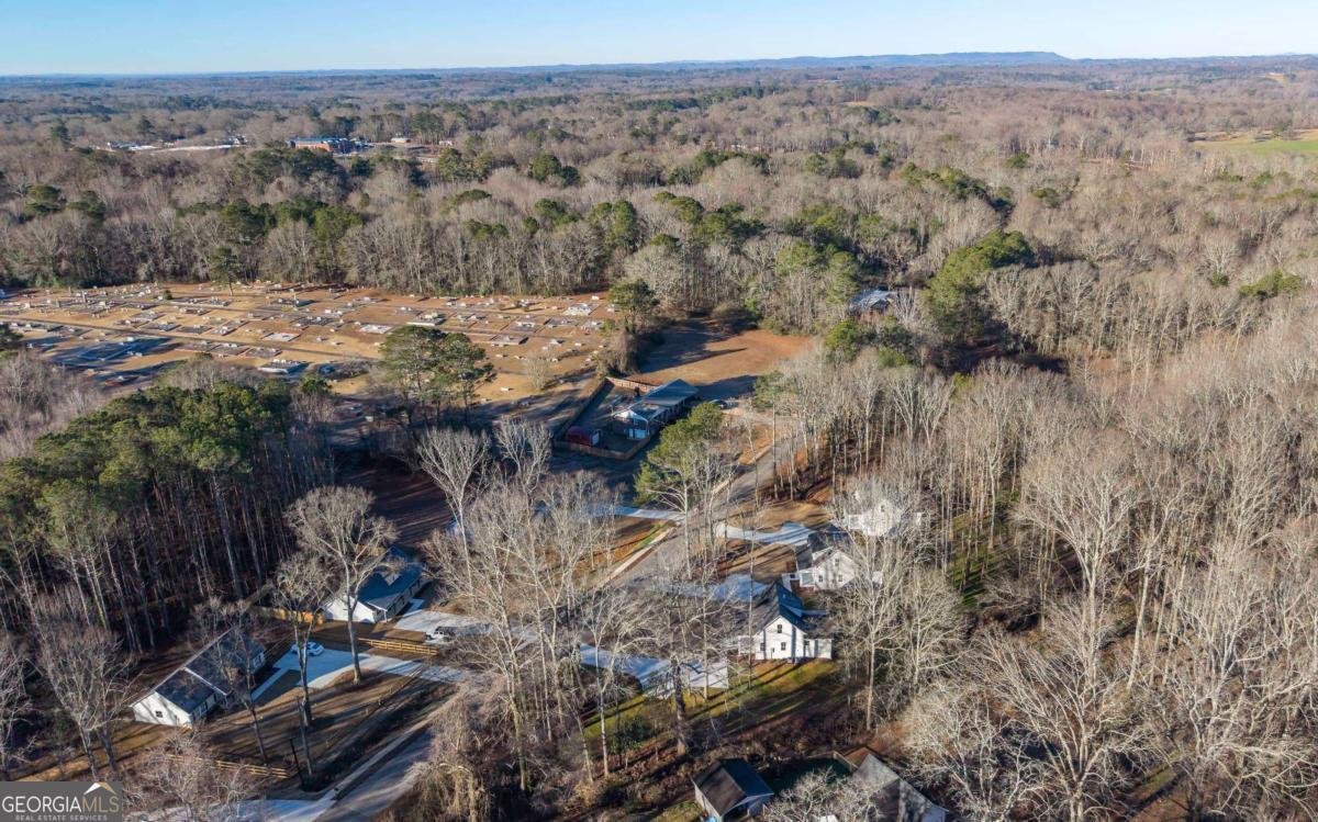 485 West Avenue Bowdon - Photo 44