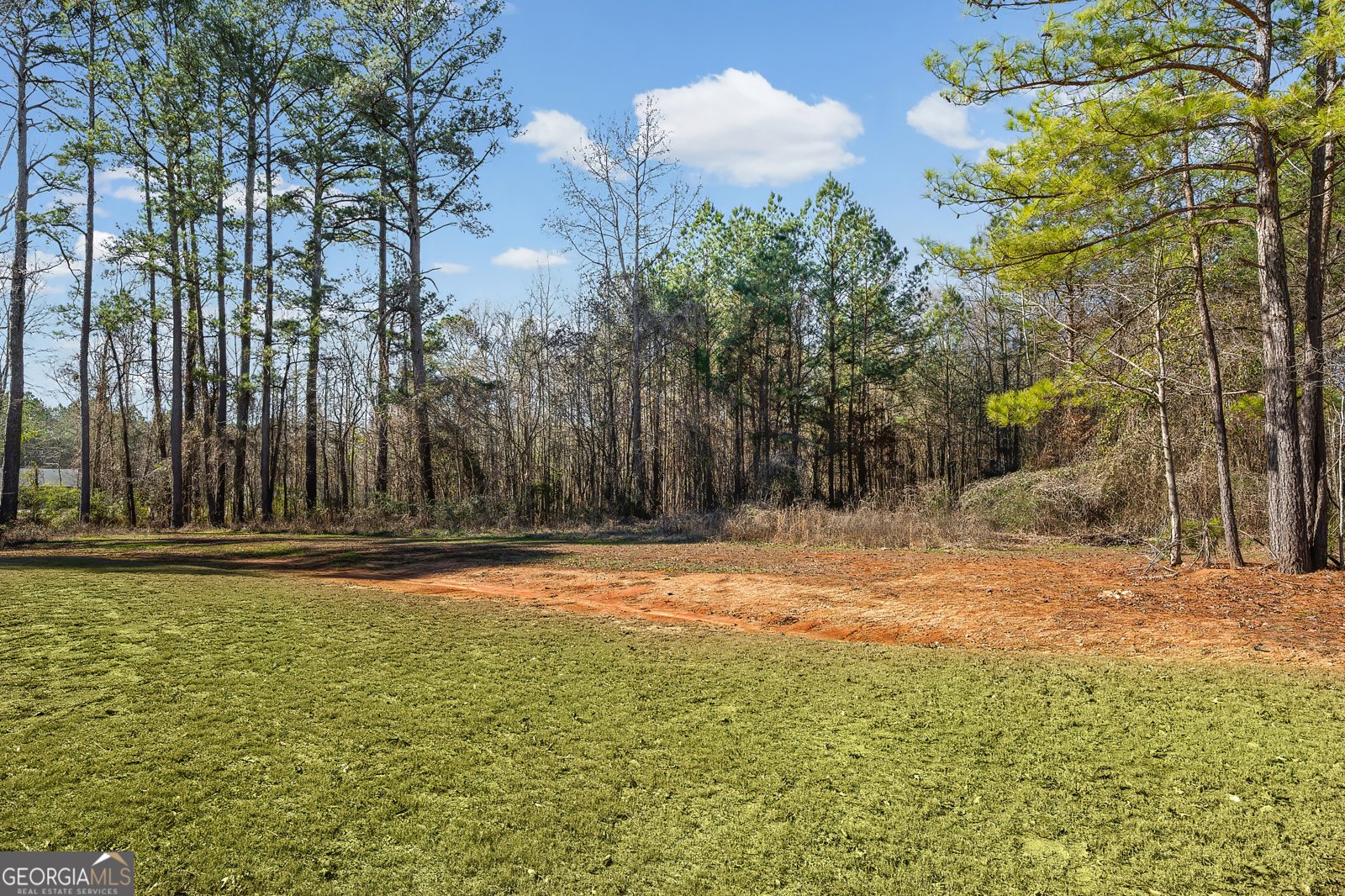 1788 Standing Rock Road Senoia - Photo 36