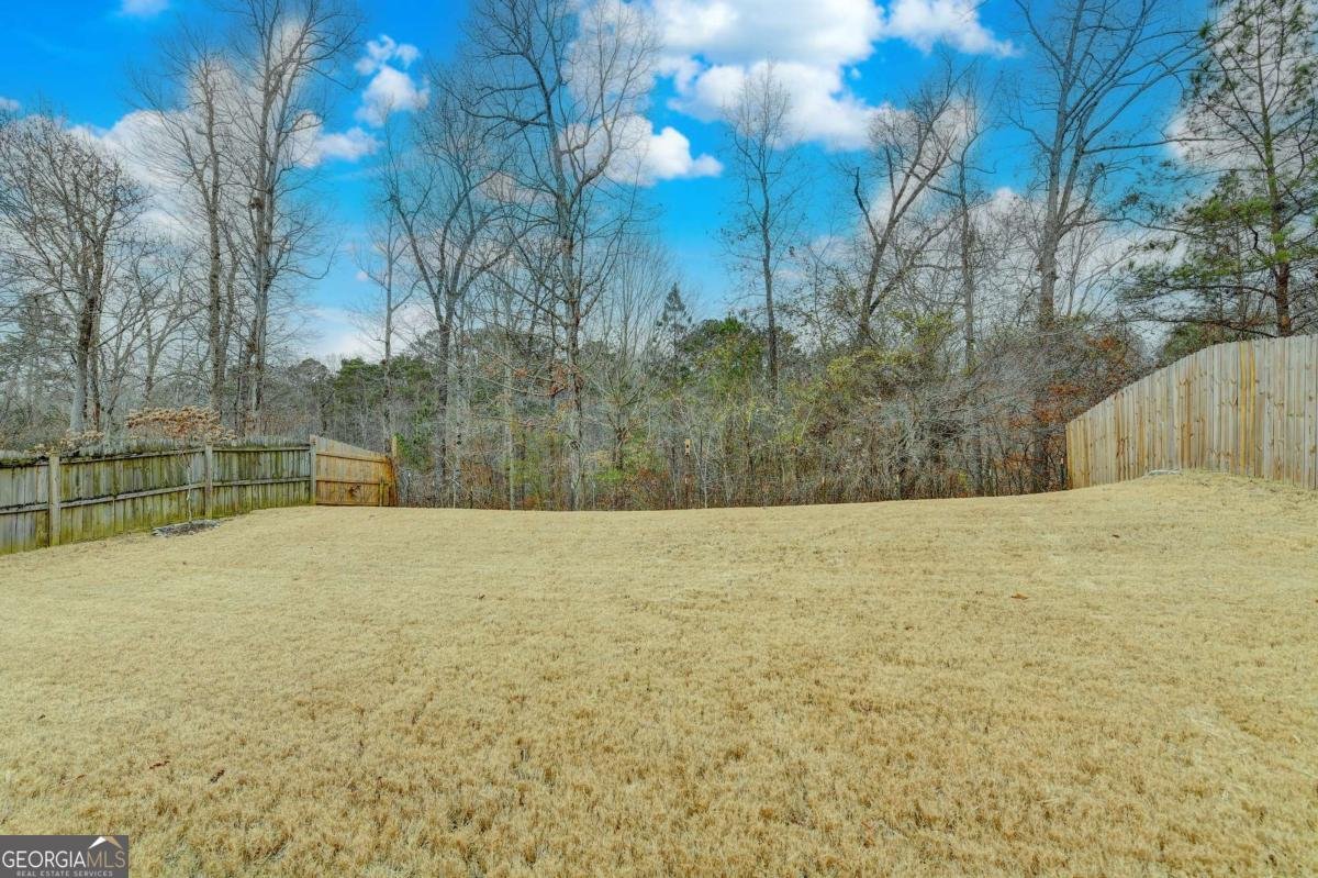 6098 Park Leaf Walk Buford - Photo 36