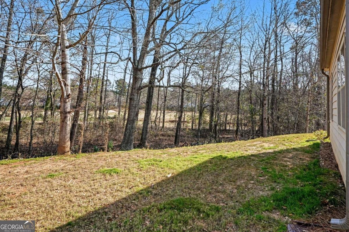 256 High Court Way Locust Grove - Photo 25