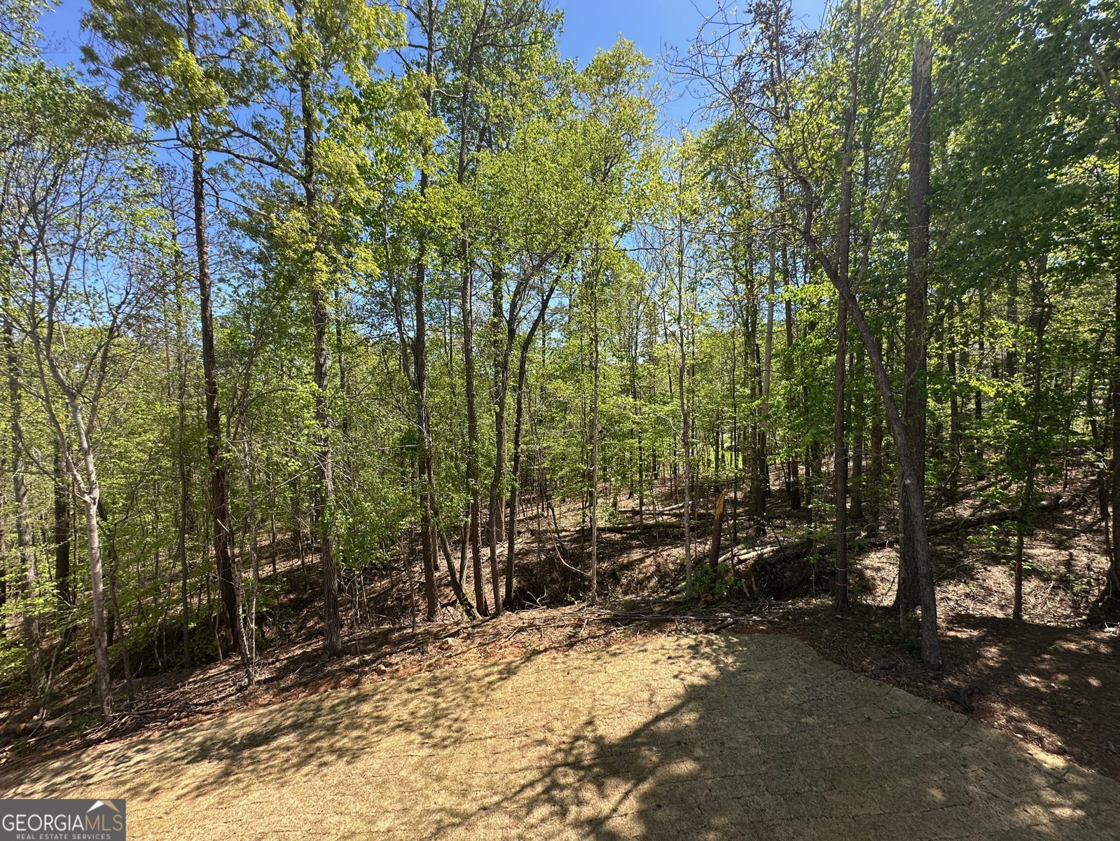 66 Pine Creek Court Dallas - Photo 21