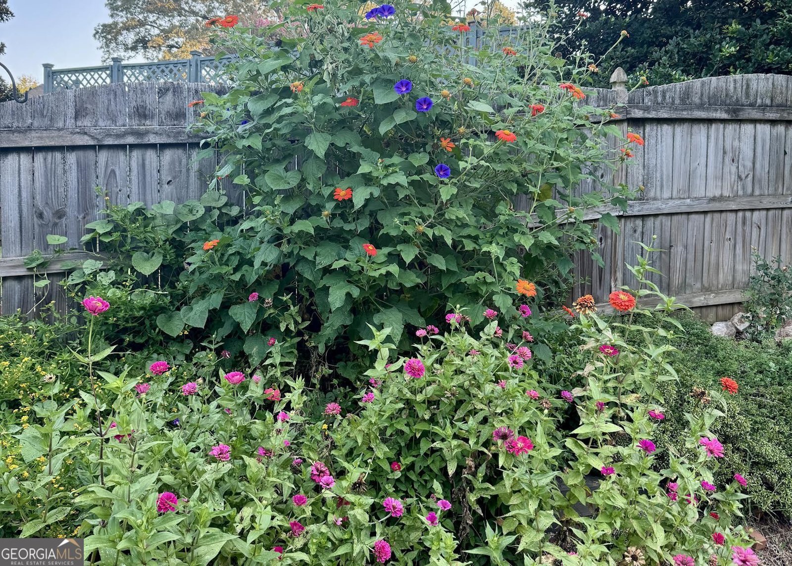 816 Woodland Drive Griffin - Photo 35