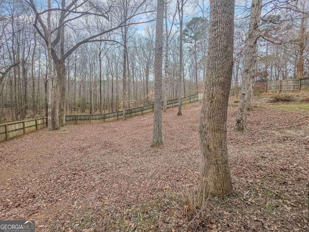 2441 River Run Drive Dacula - Photo 35