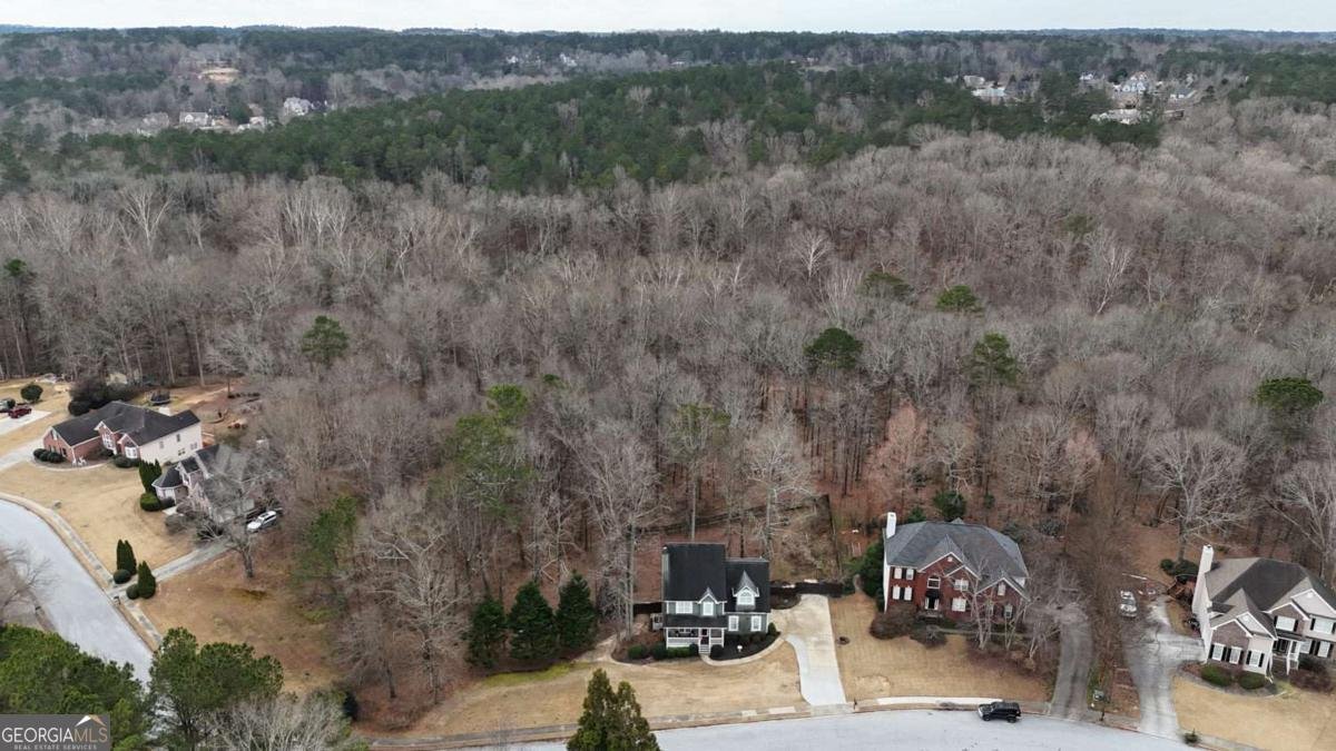 2441 River Run Drive Dacula - Photo 46