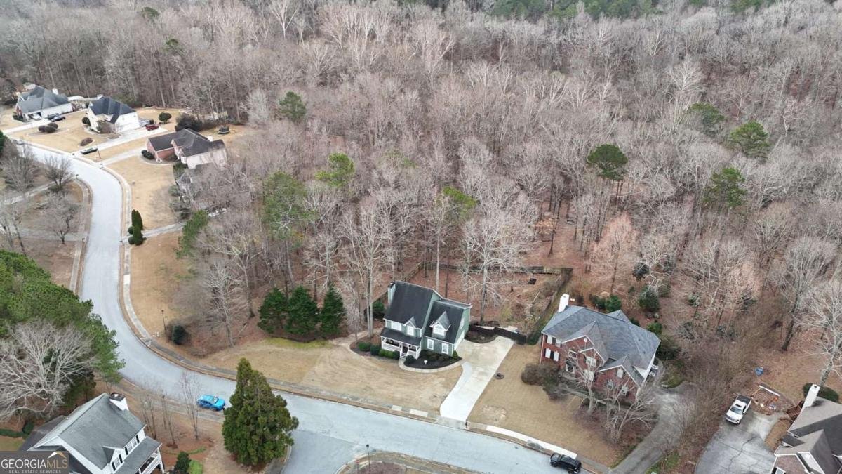 2441 River Run Drive Dacula - Photo 48