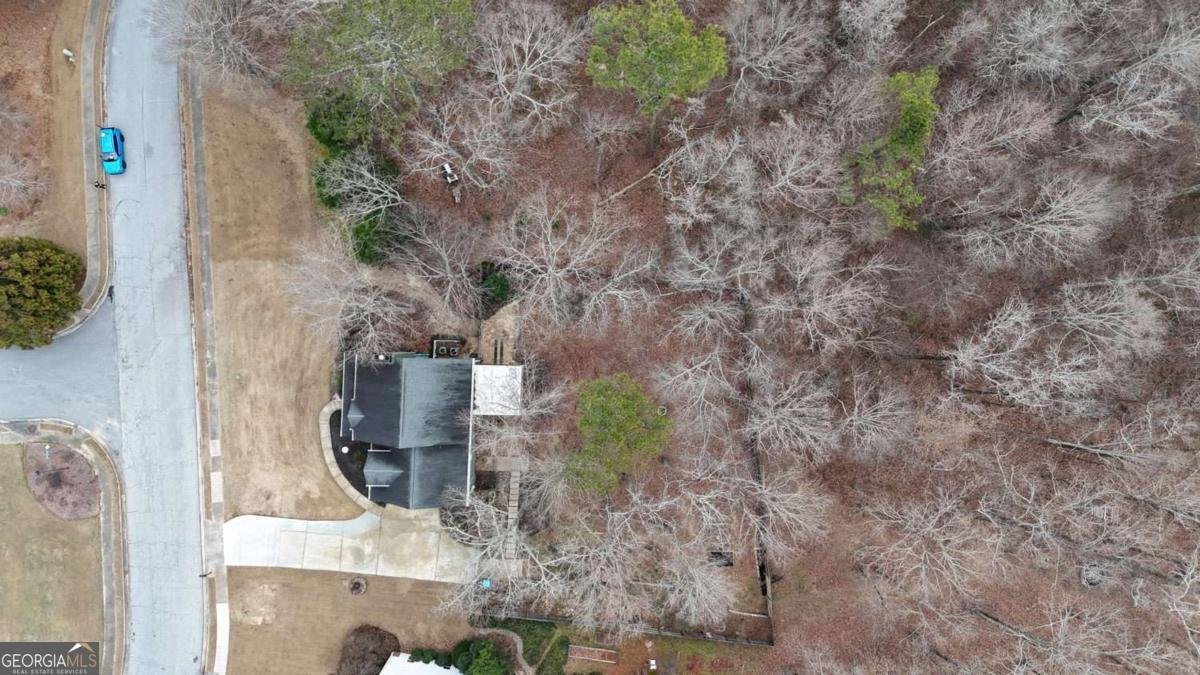 2441 River Run Drive Dacula - Photo 49