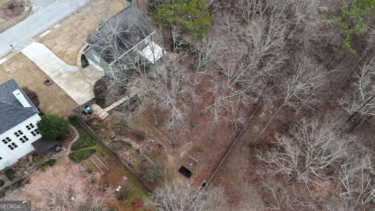 2441 River Run Drive Dacula - Photo 50