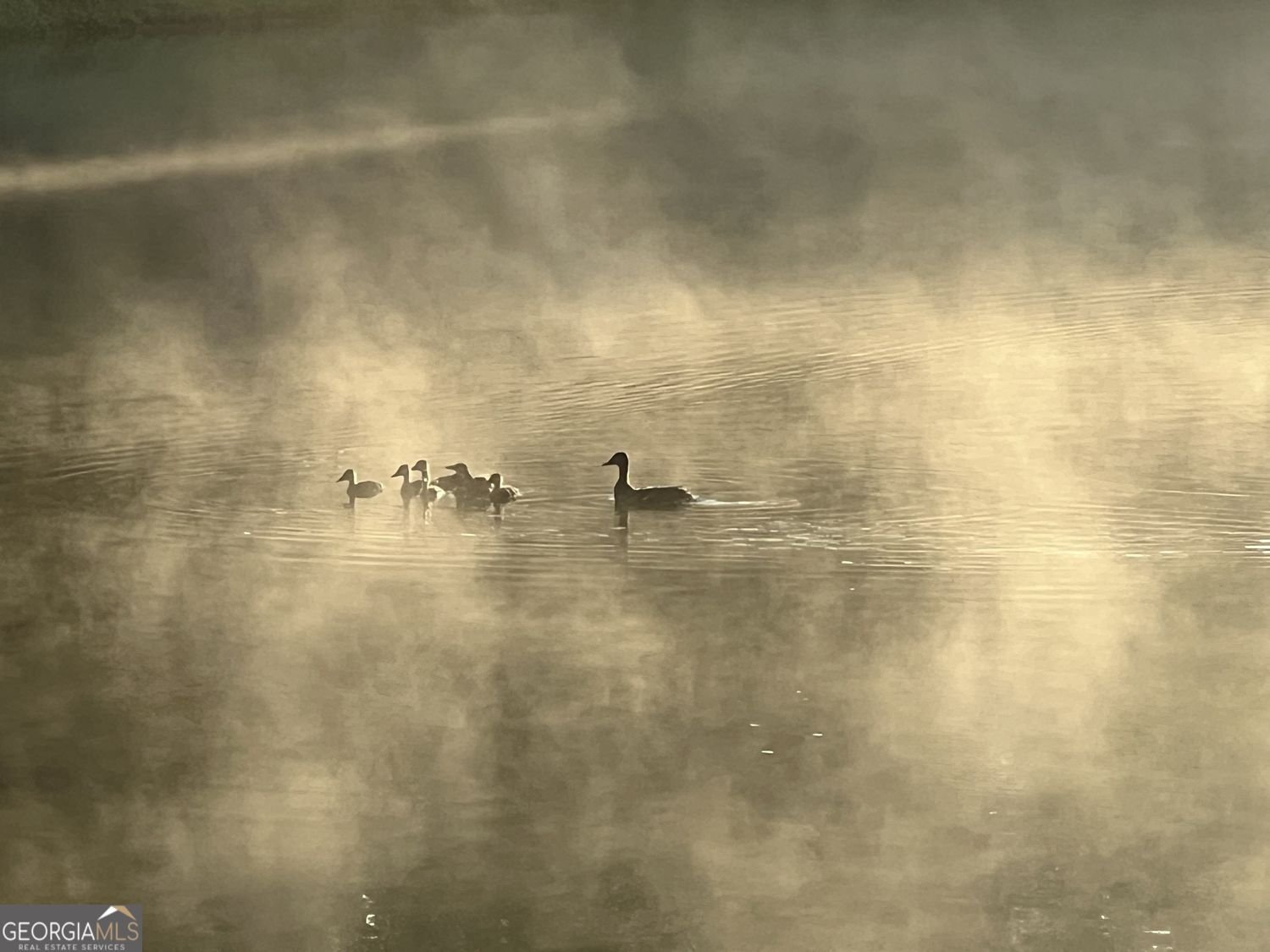 2308 Rackley Road Ellijay - Photo 10