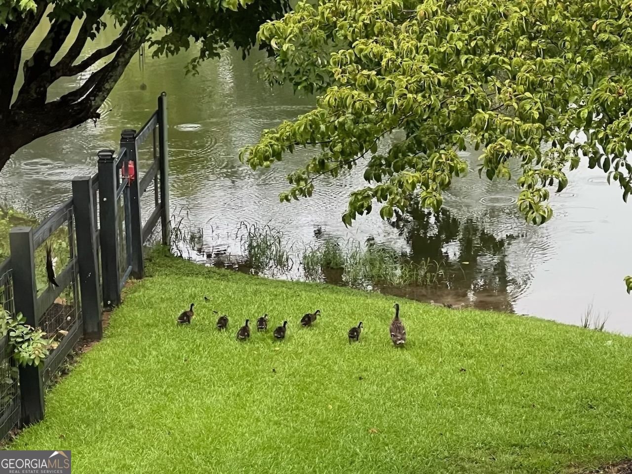 2308 Rackley Road Ellijay - Photo 11