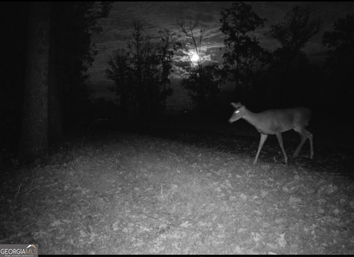 2308 Rackley Road Ellijay - Photo 12