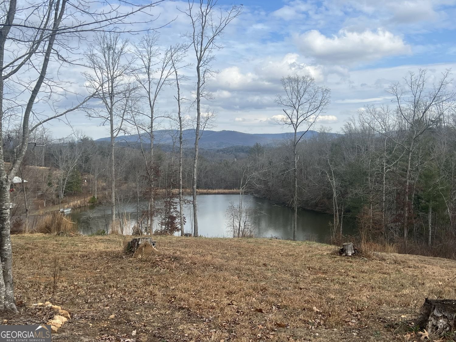 2308 Rackley Road Ellijay - Photo 13
