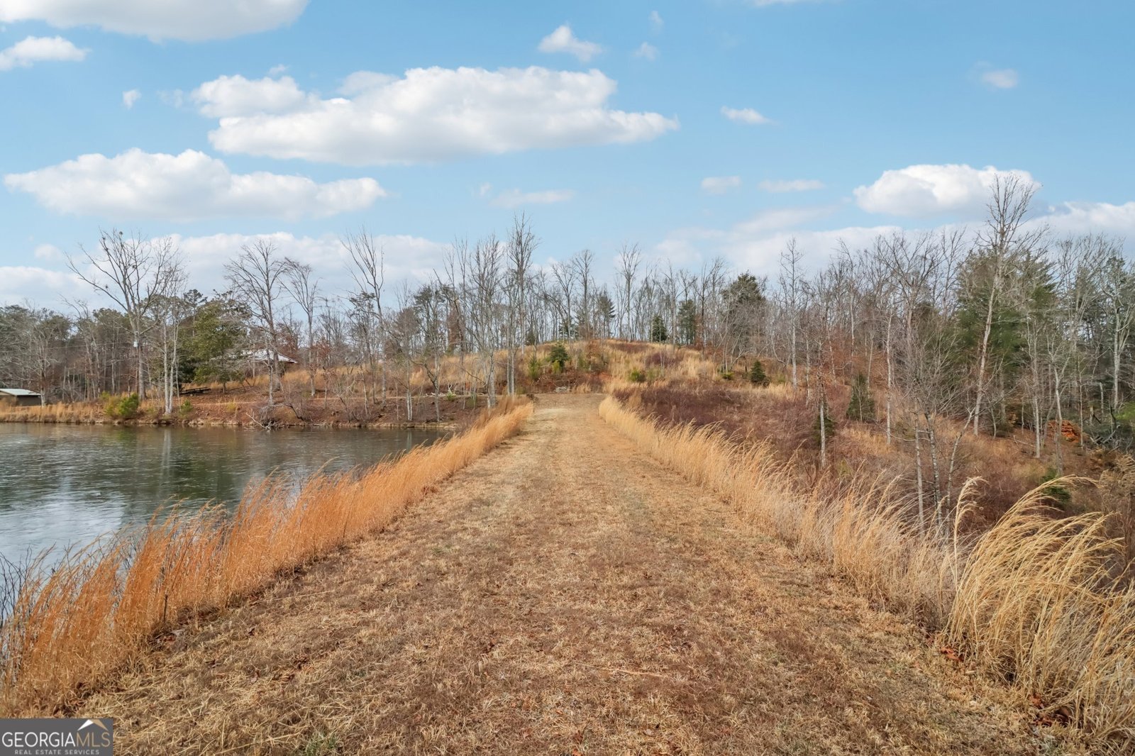 2308 Rackley Road Ellijay - Photo 32