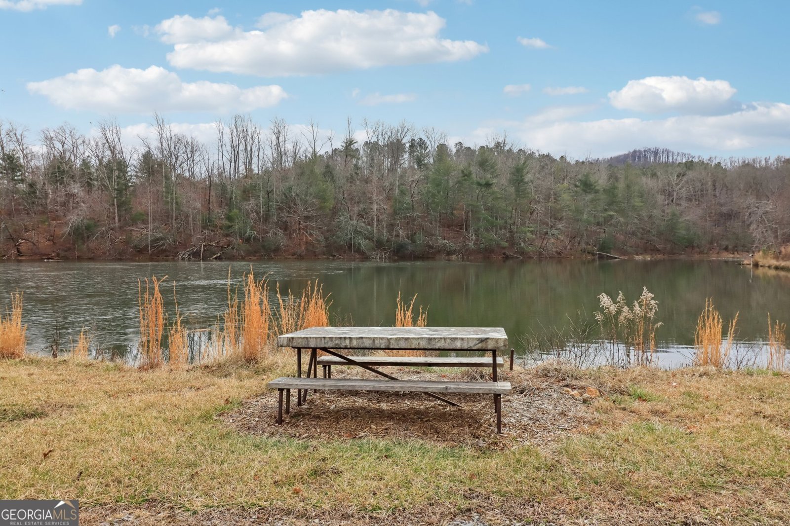 2308 Rackley Road Ellijay - Photo 34