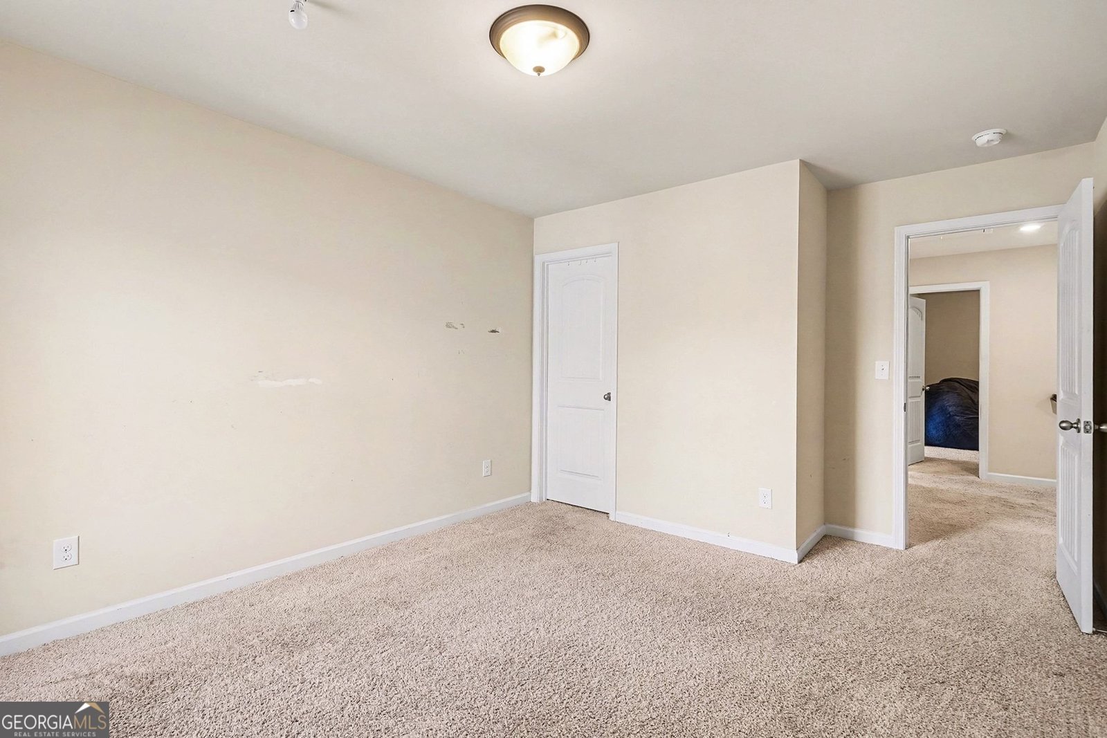 526 Blue Mountain Canton - Photo 18