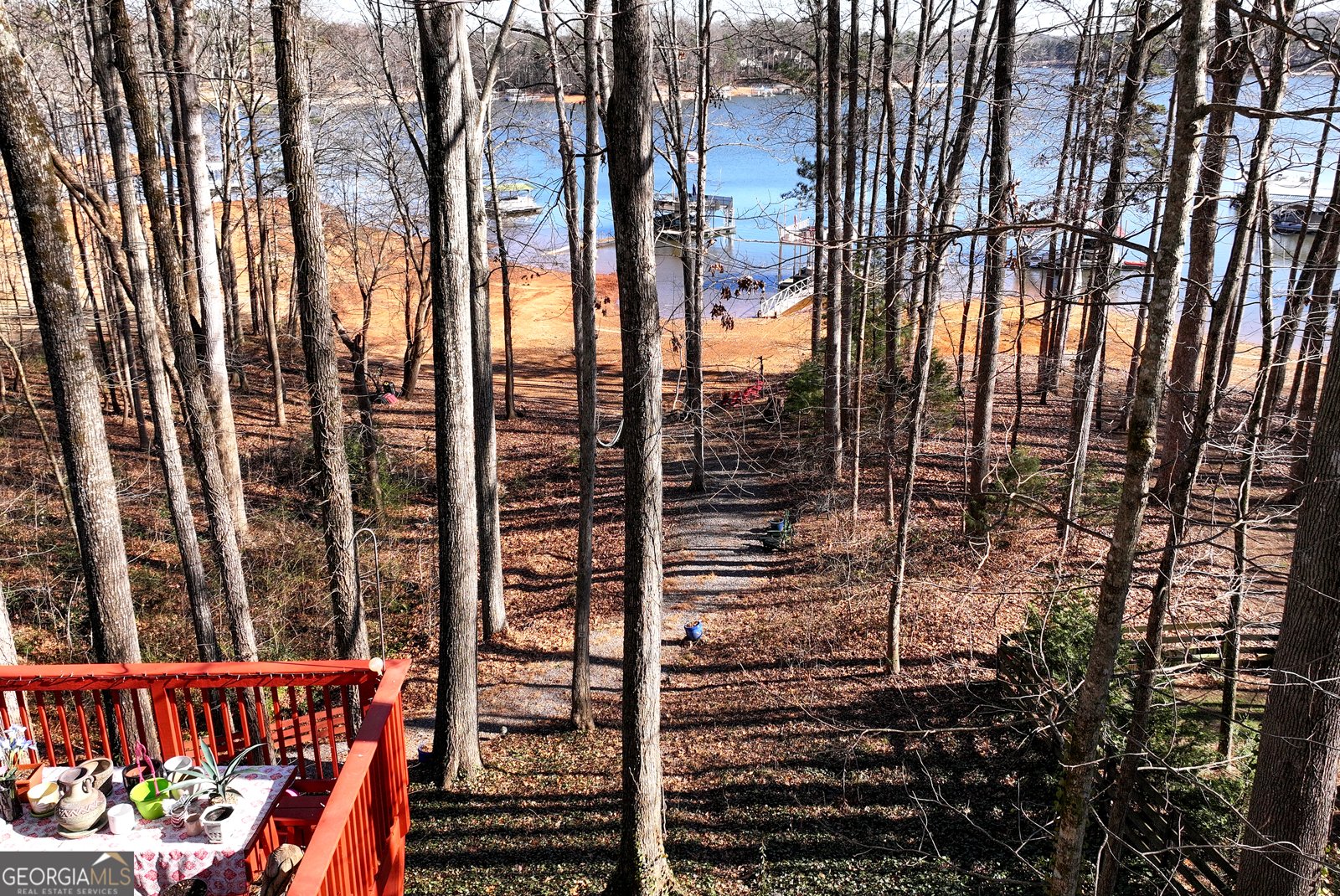 46 Clearwater Drive Dawsonville - Photo 61