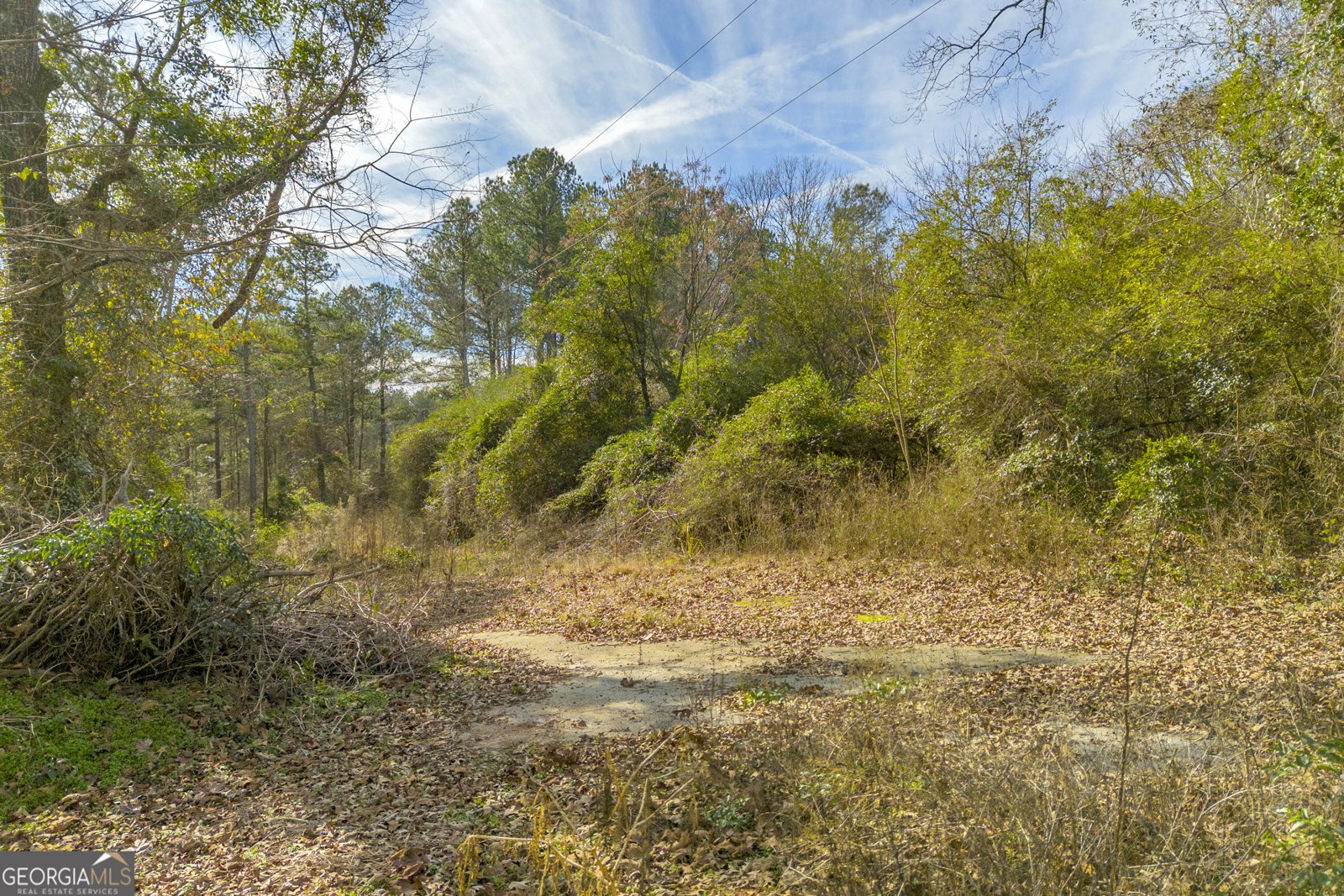 7131 Maysville Road Maysville - Photo 13