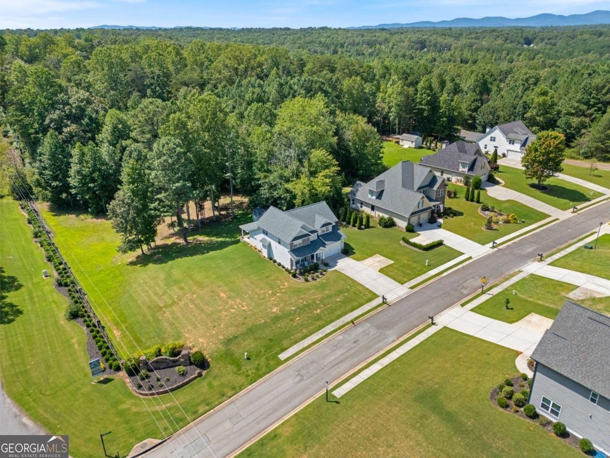 23 Morgan Lane Dawsonville - Photo 30