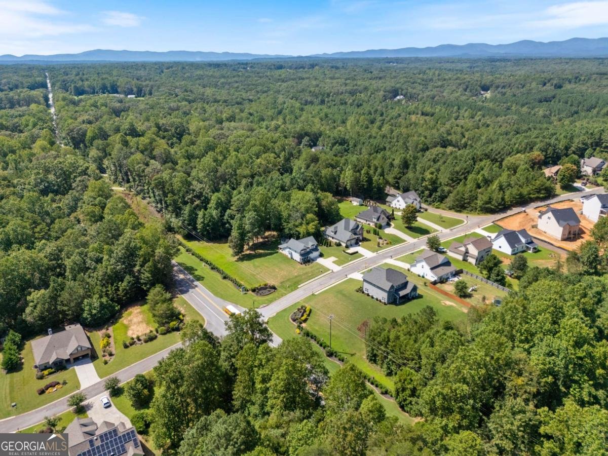 23 Morgan Lane Dawsonville - Photo 32