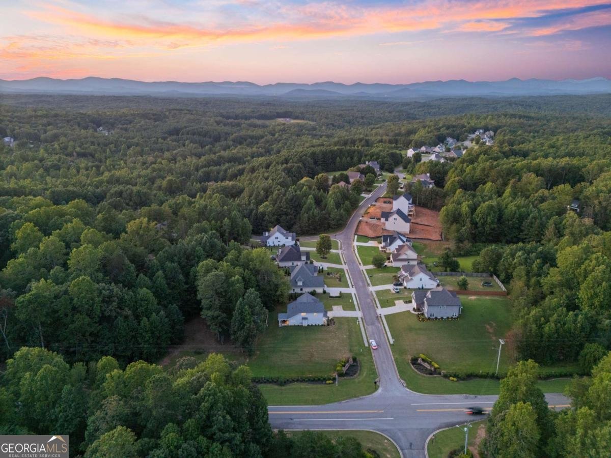 23 Morgan Lane Dawsonville - Photo 37