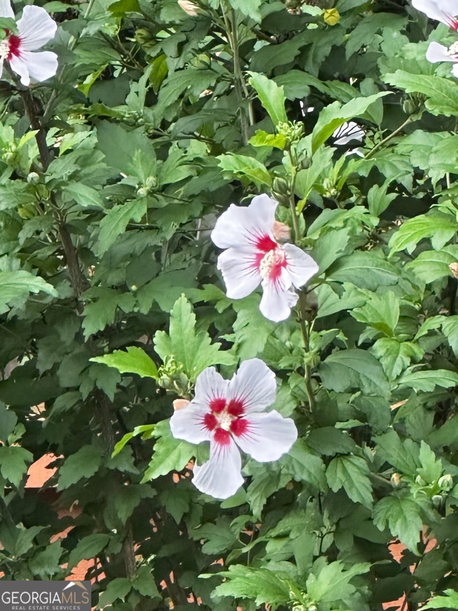 658 Sunstede Drive Decatur - Photo 55