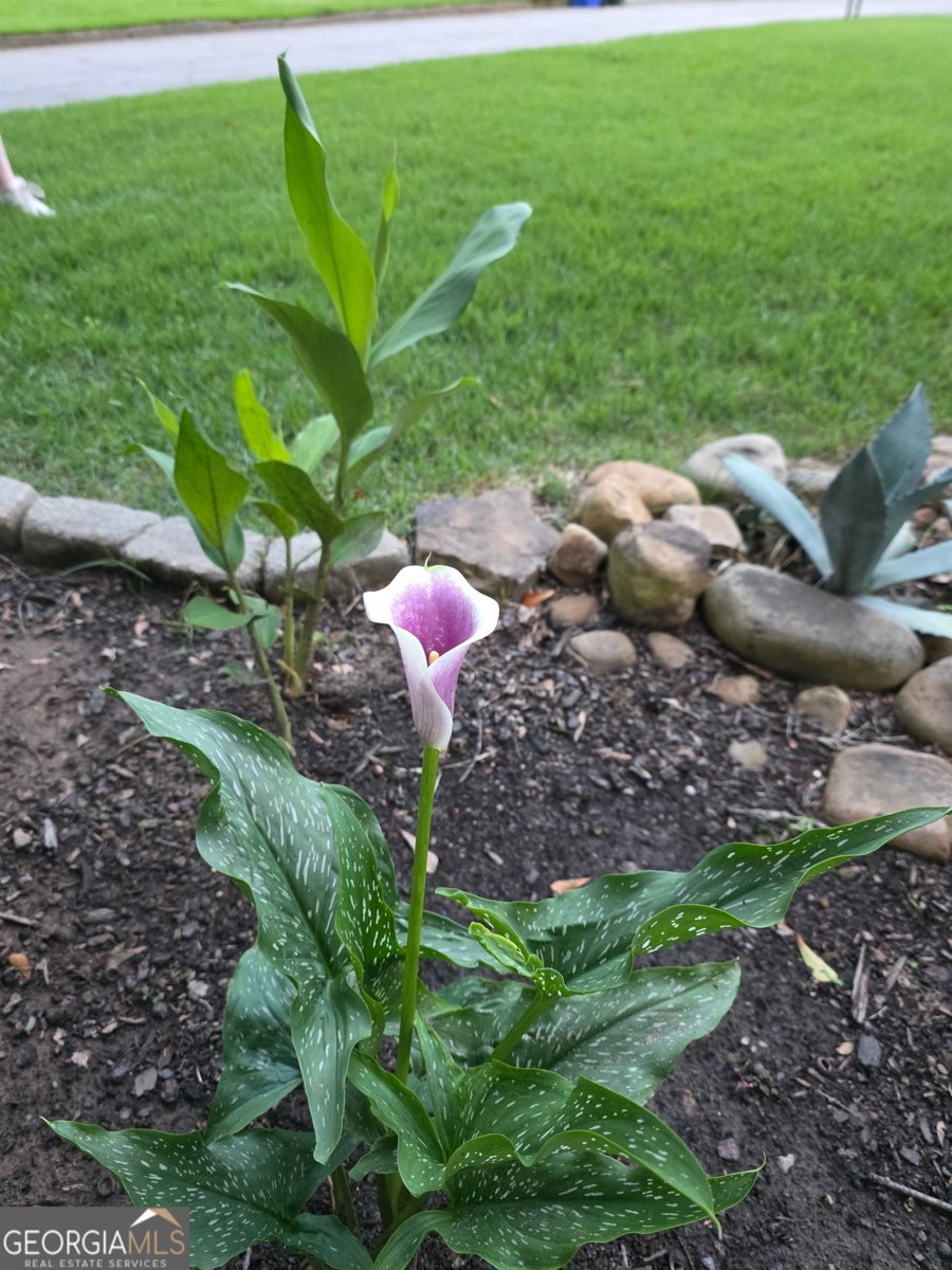 658 Sunstede Drive Decatur - Photo 56