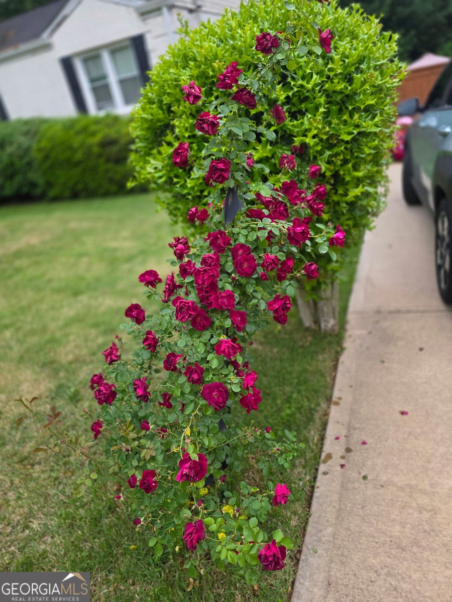 658 Sunstede Drive Decatur - Photo 57