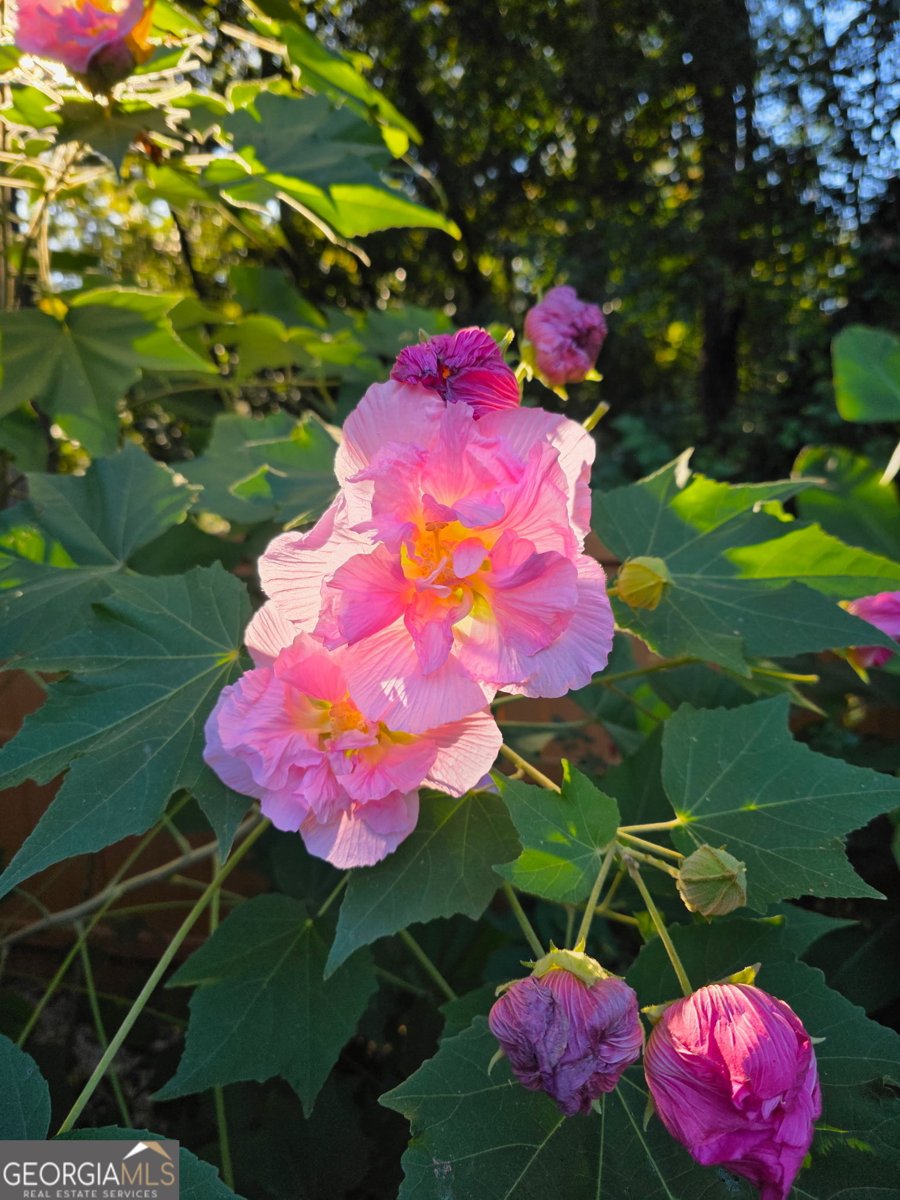 658 Sunstede Drive Decatur - Photo 58