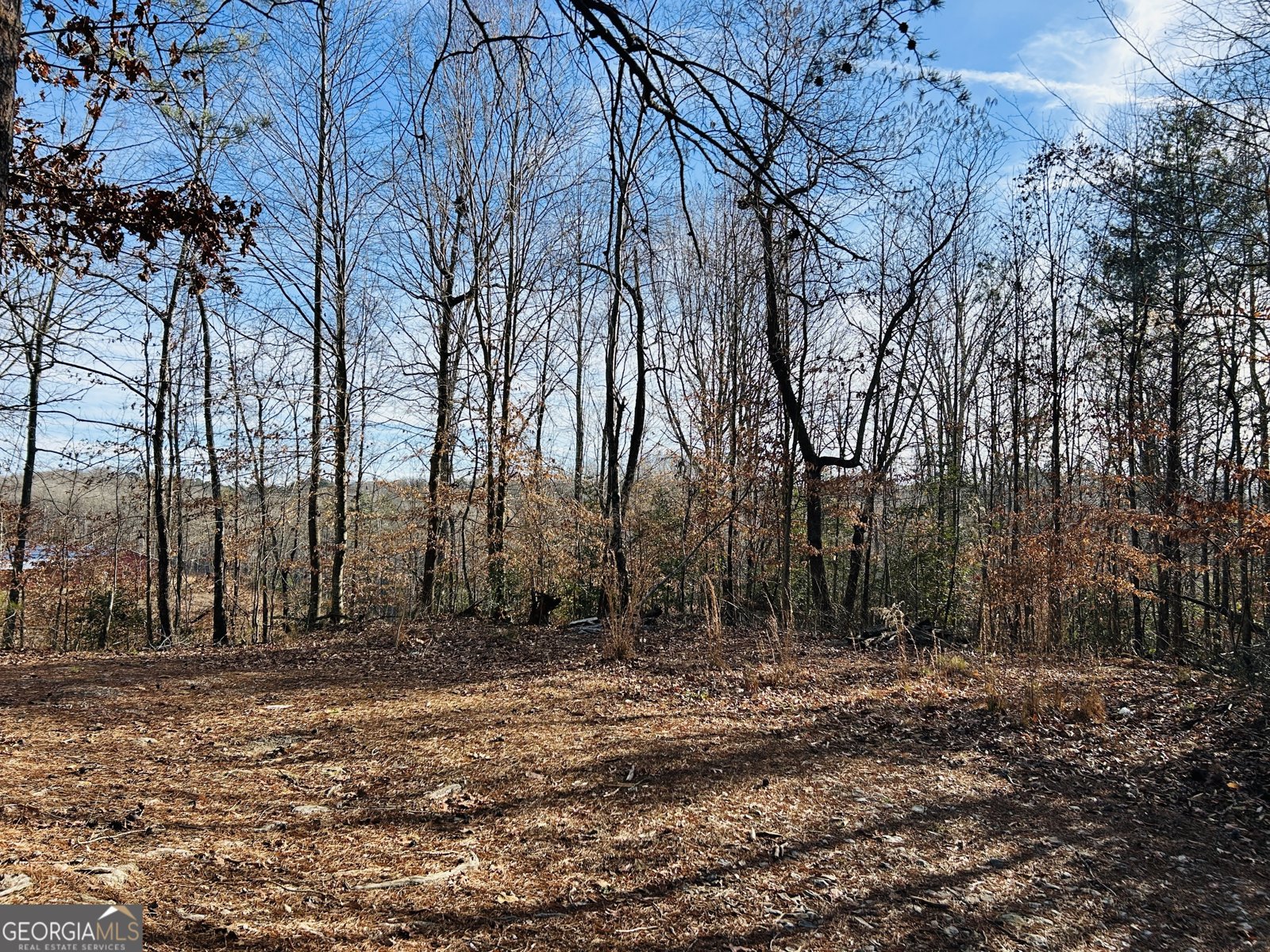 942 Paradise Valley Cornelia - Photo 32