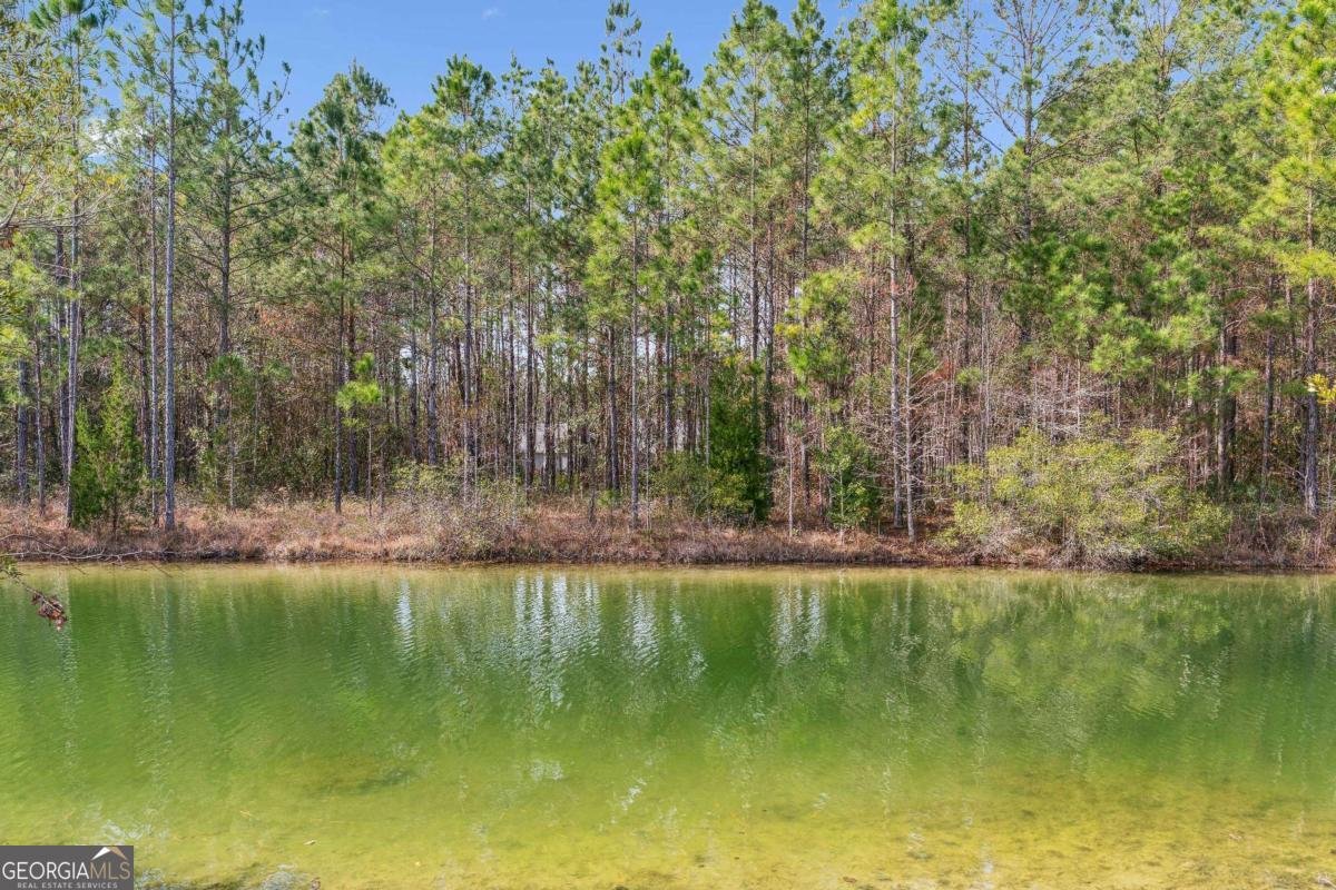 59 Pinto Court Woodbine - Photo 13