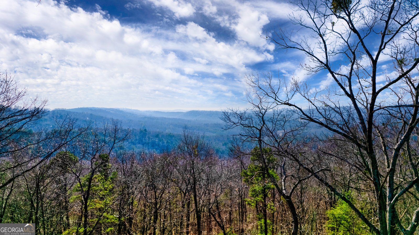 105 Yonah View Dahlonega - Photo 100