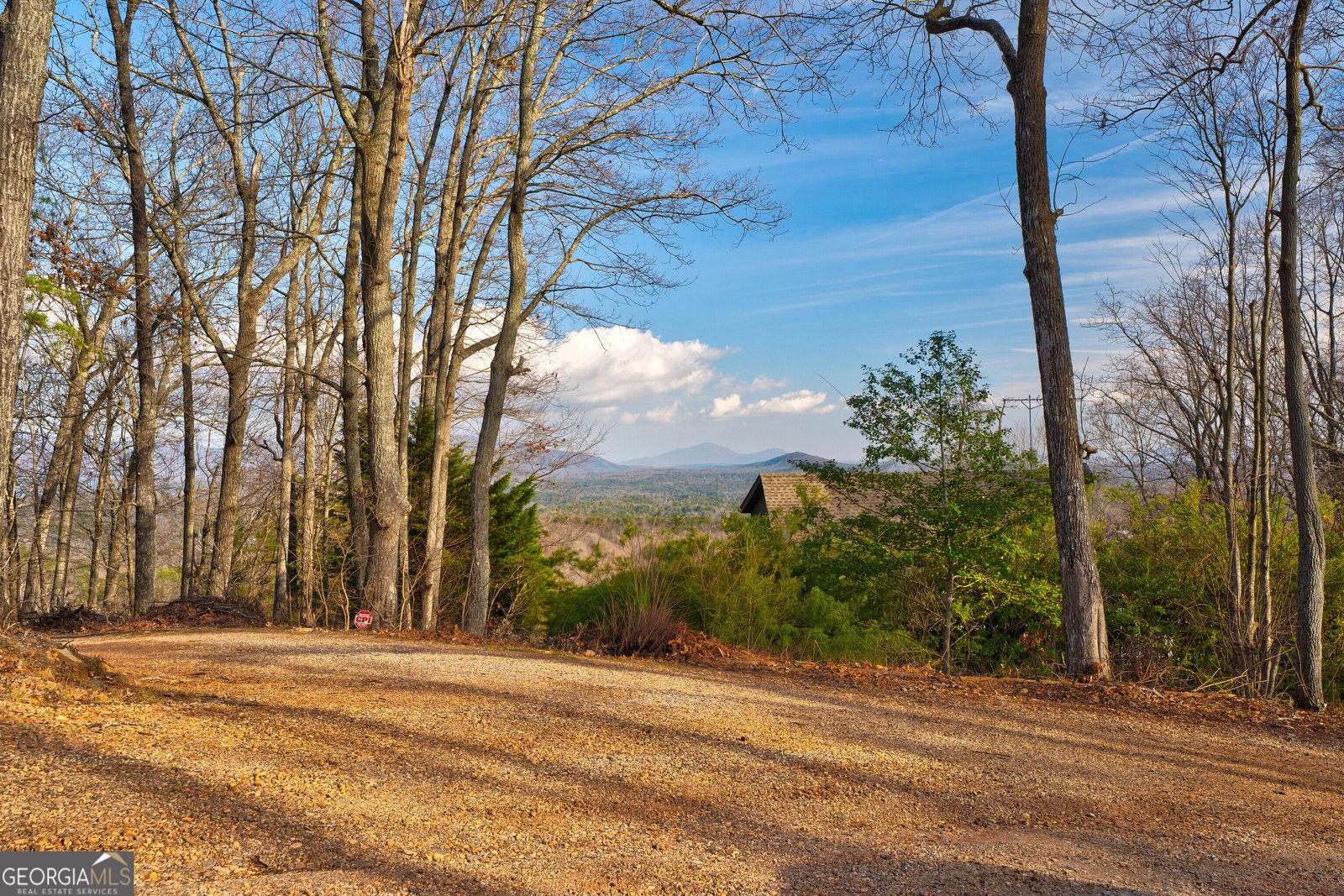 105 Yonah View Dahlonega - Photo 75