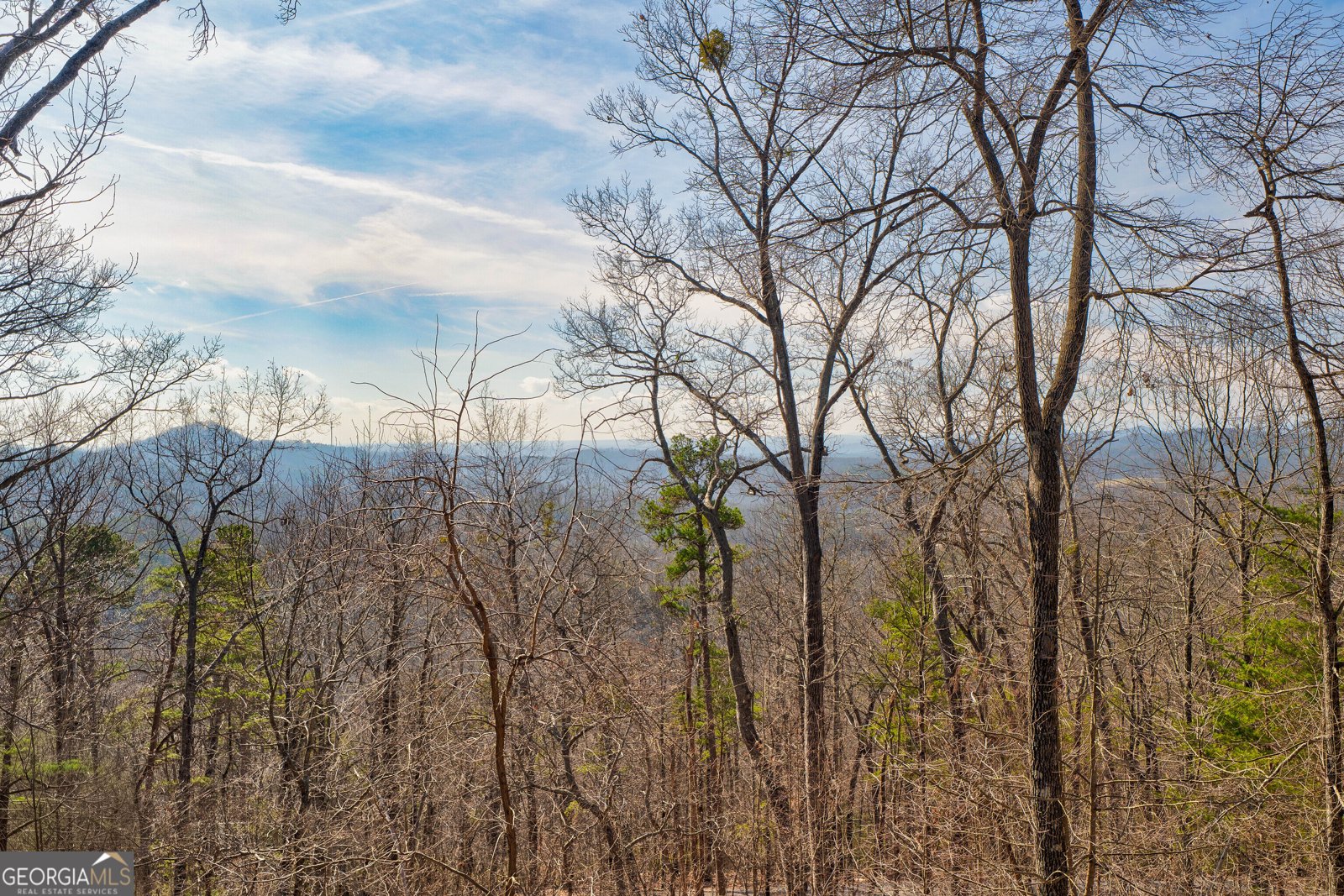 105 Yonah View Dahlonega - Photo 95