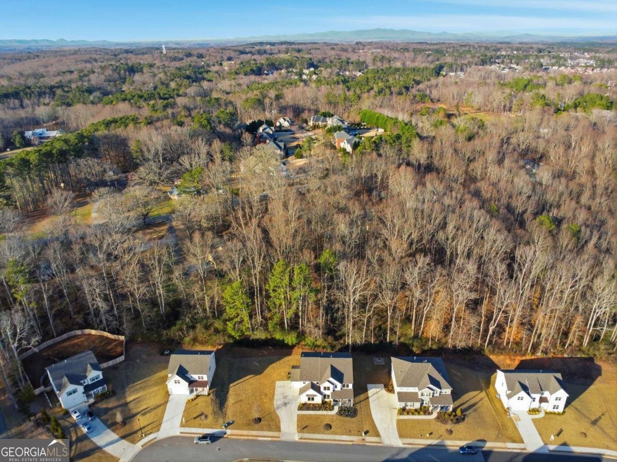 172 Aspen Hall Drive Canton - Photo 31