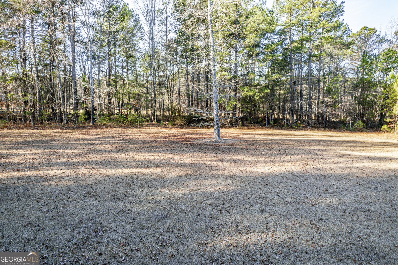 354 Lite N Tie Road Gray - Photo 103