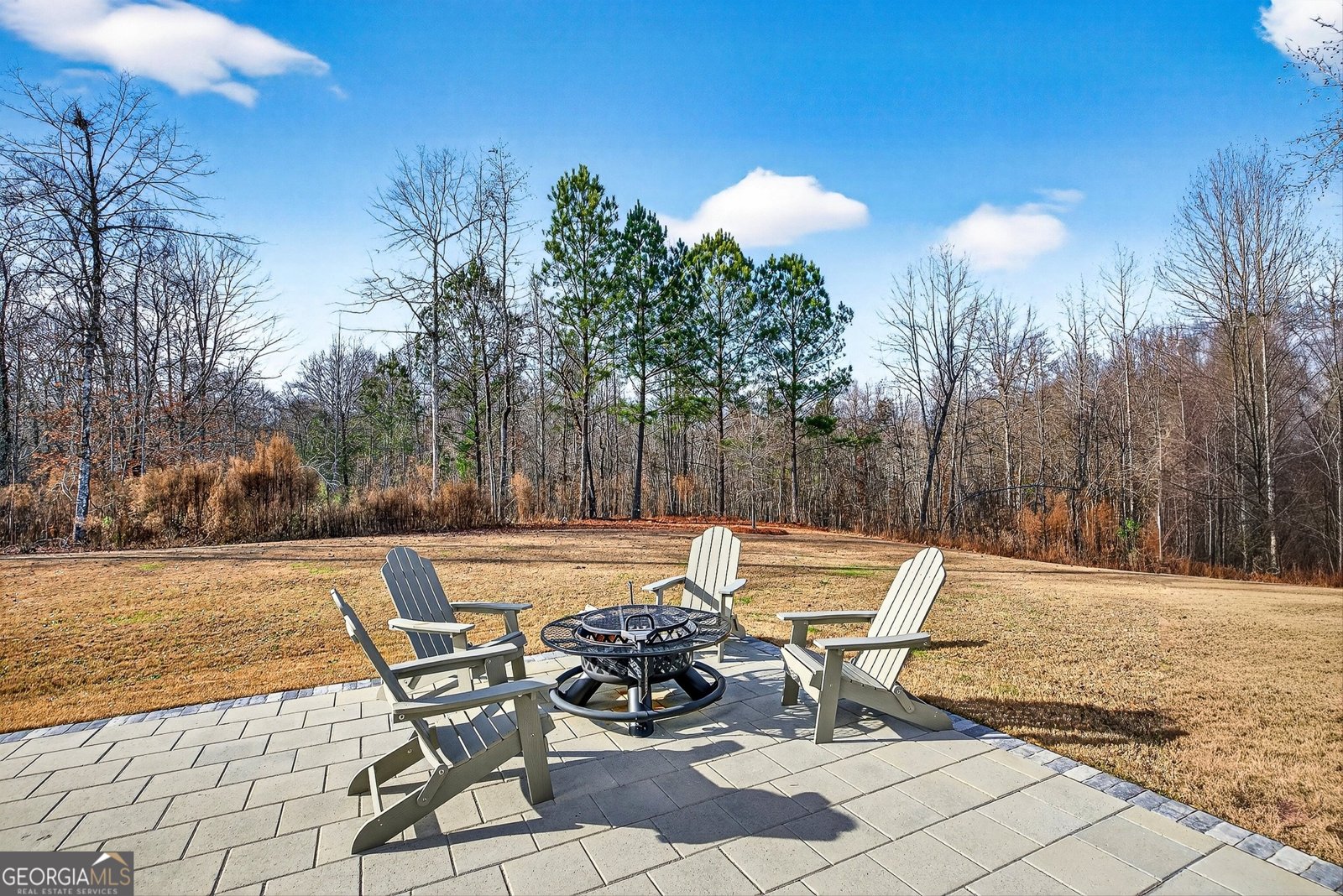295 Walden Pond Trail Senoia - Photo 44