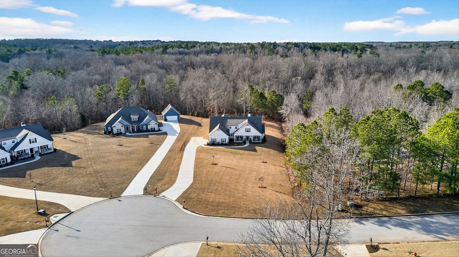 295 Walden Pond Trail Senoia - Photo 49