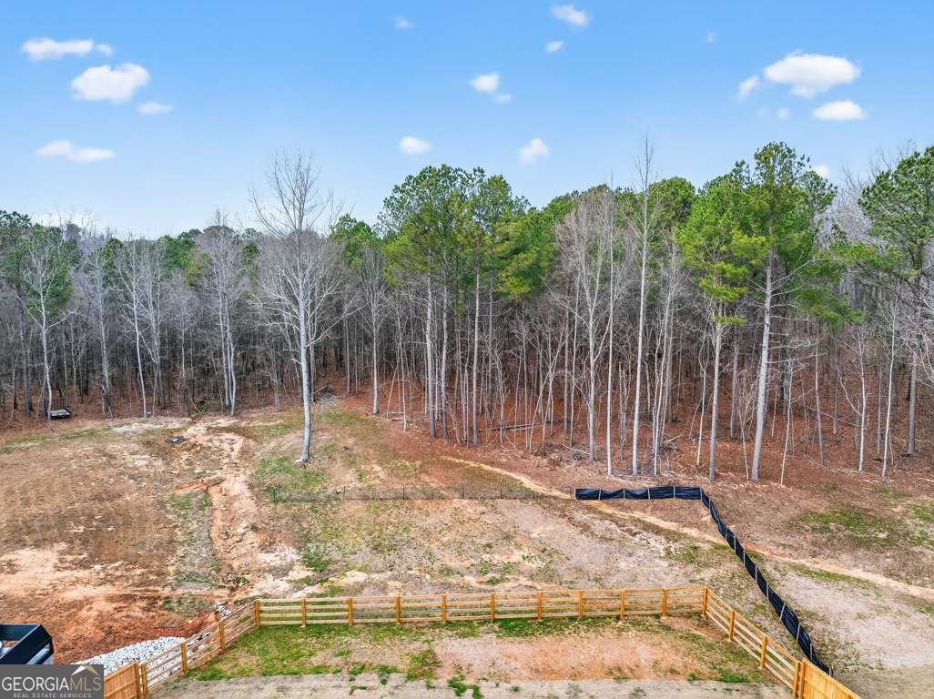 311 Rockwell Church Road Winder - Photo 47