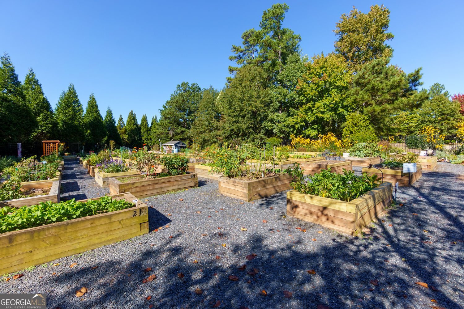 3346 Sweet Plum Trace Gainesville - Photo 50