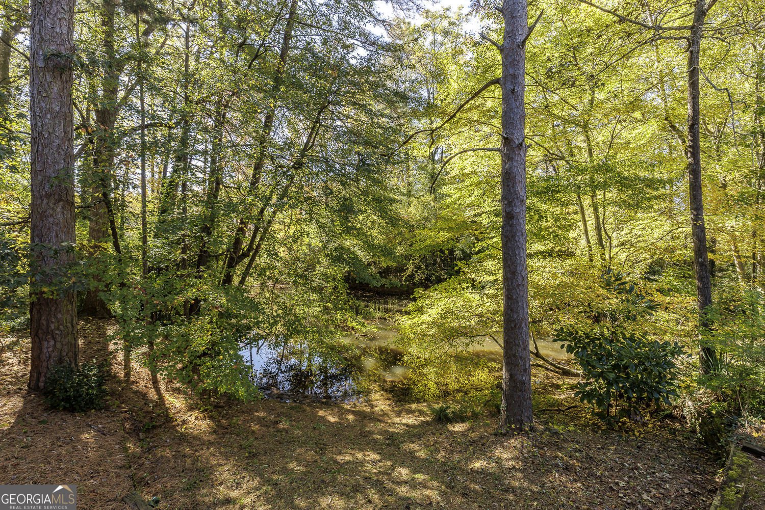 5825 Mitchell Road Atlanta - Photo 43