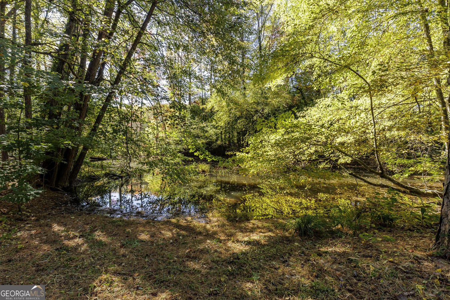 5825 Mitchell Road Atlanta - Photo 46