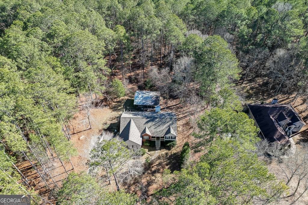 1590 Piney Grove Road Loganville - Photo 38