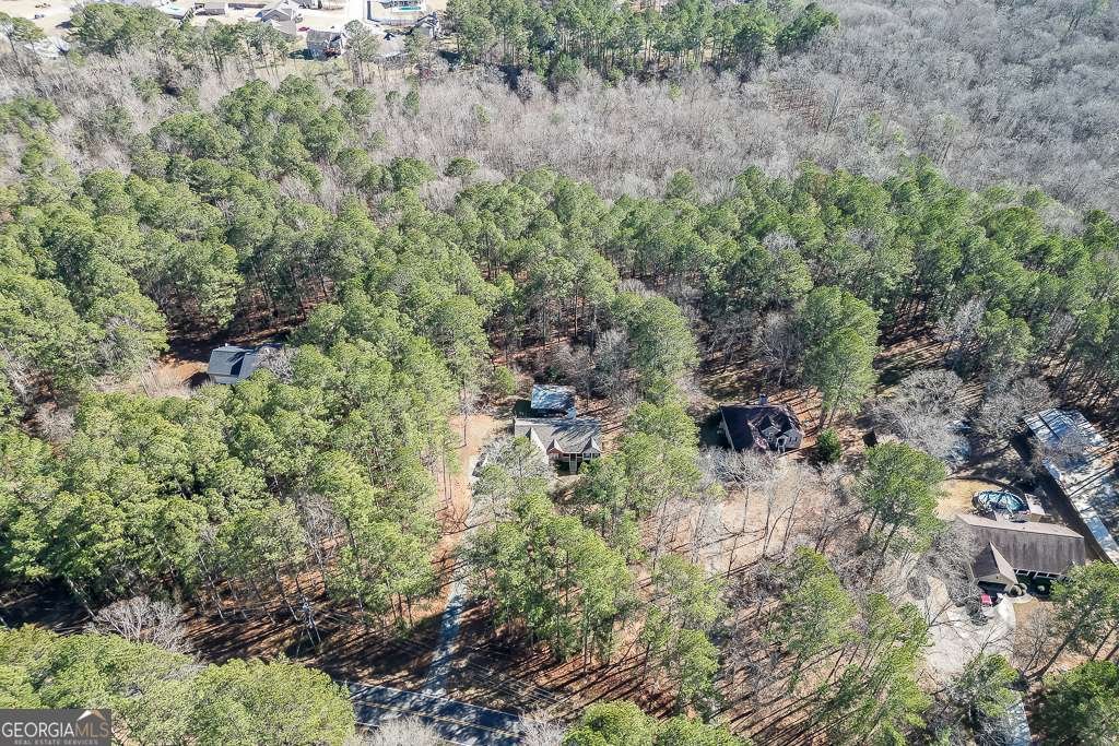 1590 Piney Grove Road Loganville - Photo 39