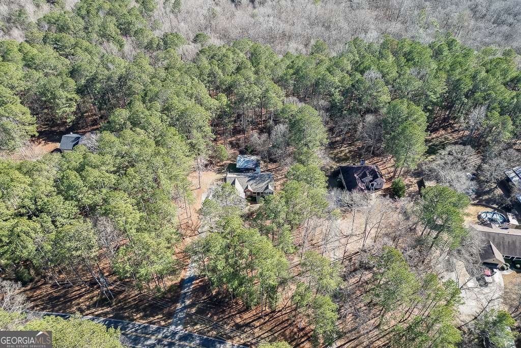 1590 Piney Grove Road Loganville - Photo 40