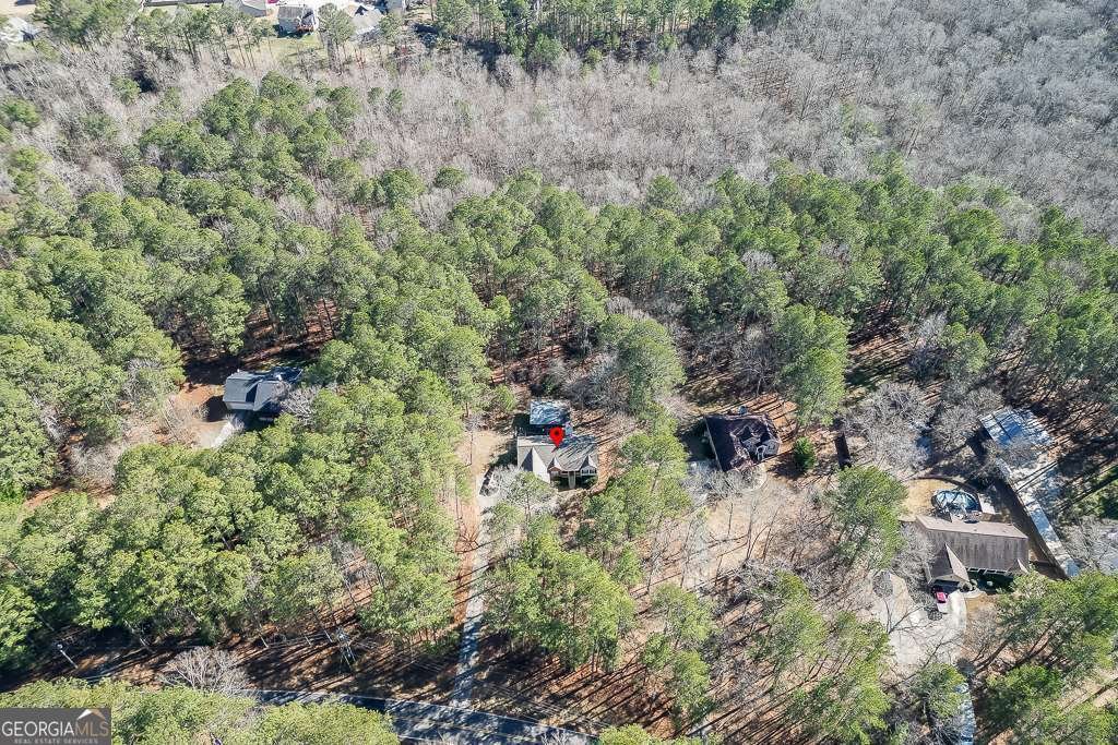 1590 Piney Grove Road Loganville - Photo 42