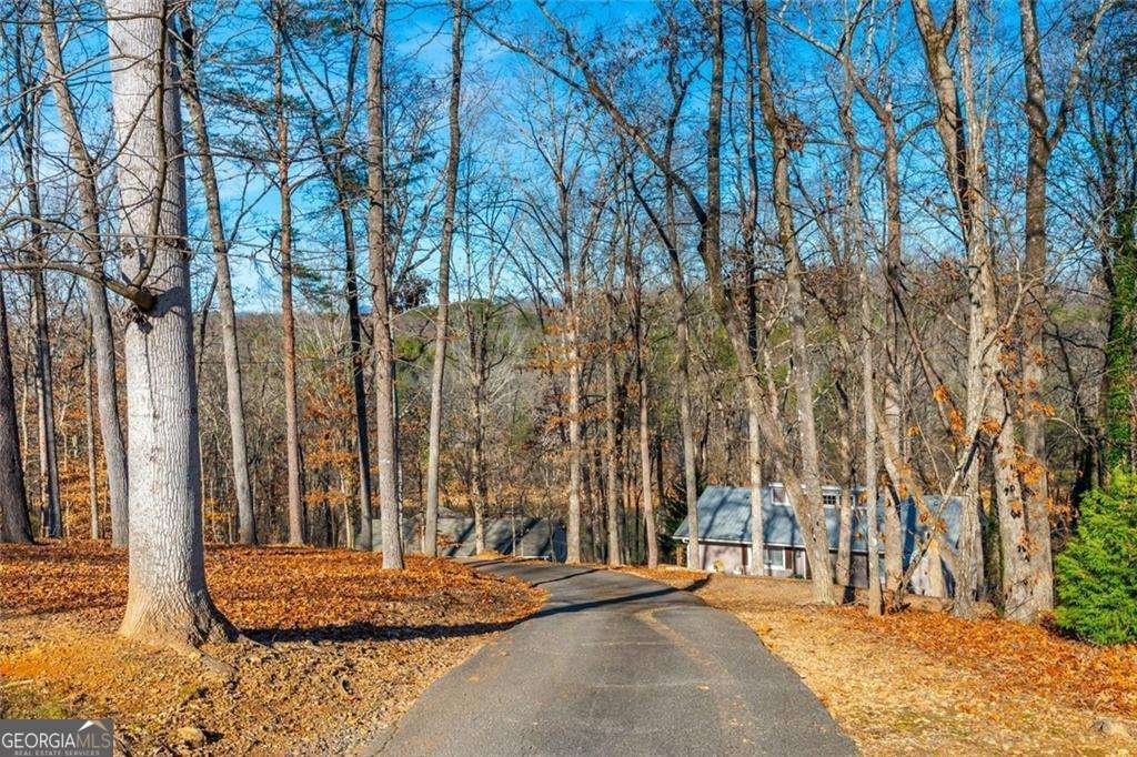 27 Toto Creek Drive Dawsonville - Photo 48