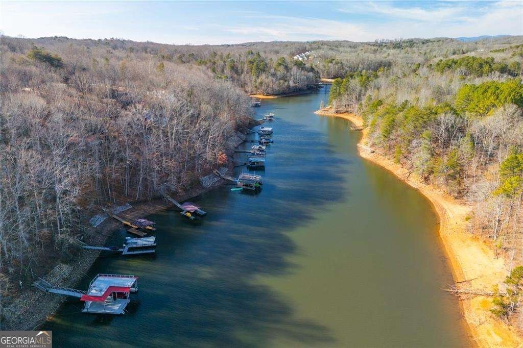 27 Toto Creek Drive Dawsonville - Photo 54