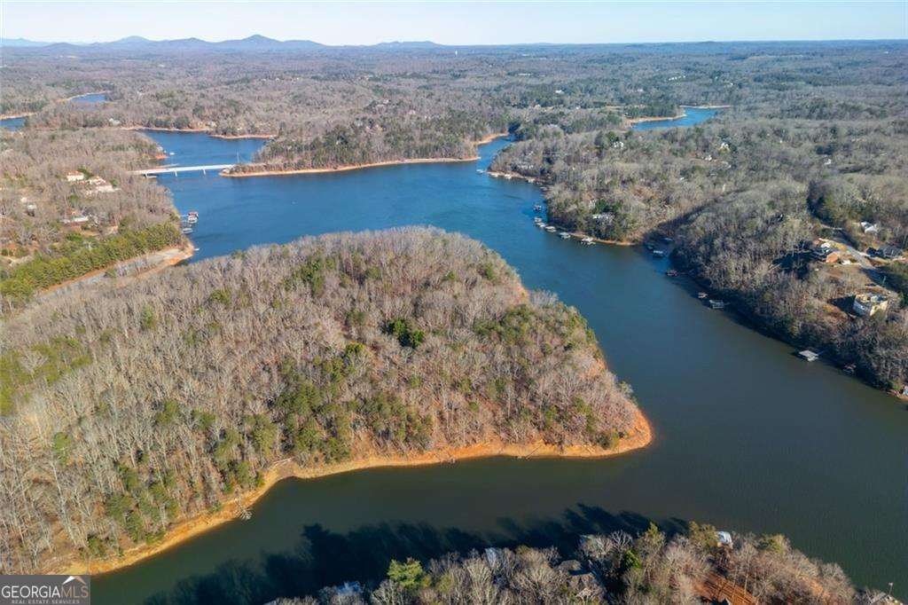 27 Toto Creek Drive Dawsonville - Photo 55