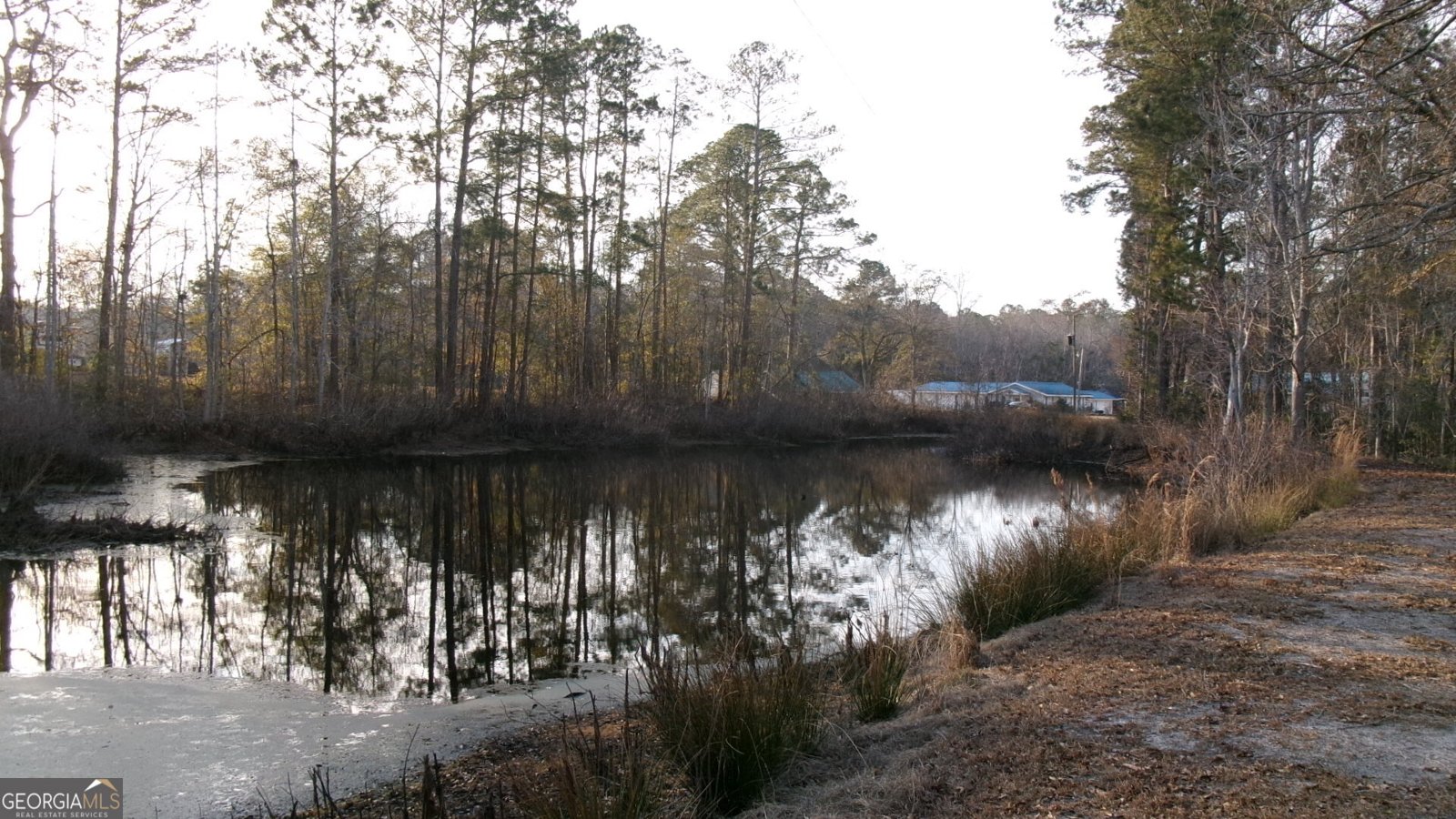 17827 Ga Highway 129 Claxton - Photo 6