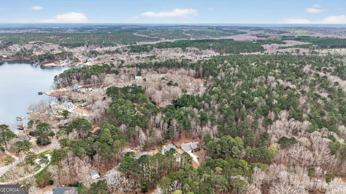 155 River Bend Drive Eatonton - Photo 48