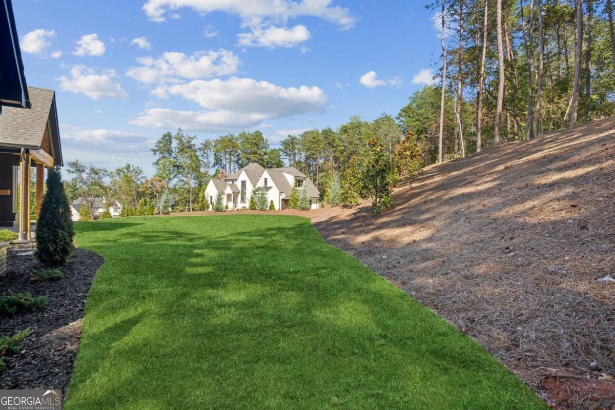 4440 KD Kruzel Drive Cumming - Photo 65